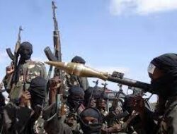 Serangan Besar-besaran di Niger, Belasan Anggota Boko Haram Tewas