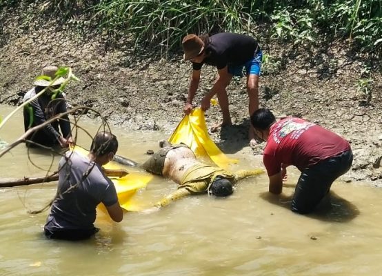 Mayat Perempuan Ditemukan Terapung Di Sungai Gegerkan Warga Lamongan Indosatu Co Berani