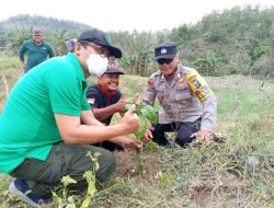 Bertekad Ciptakan Cluster Kopi di Bojonegoro, Tanam 1.700 Pohon Kopi Robusta