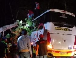 Bus Pariwisata Tertimpa Pohon, Halau Jalan Raya, Polresta Batu Respon Cepat Evakuasi