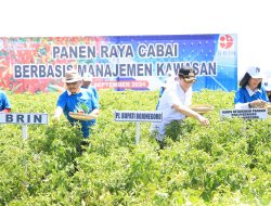 Panen Raya Cabai di Gondang, Pj. Bupati Adriyanto Apresiasi Pertanian Berbasis Kawasan