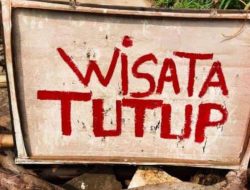 Sapi Sering Hilang, Warga Resah dan Tutup Wisata Pantai Sumur Pawon