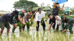 Bentuk Satgas Bernama Sego Boran, Lamongan Perkuat Swasembada Pangan